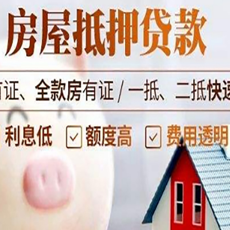 蒙山贷款助贷公司新渝启服成立时间久